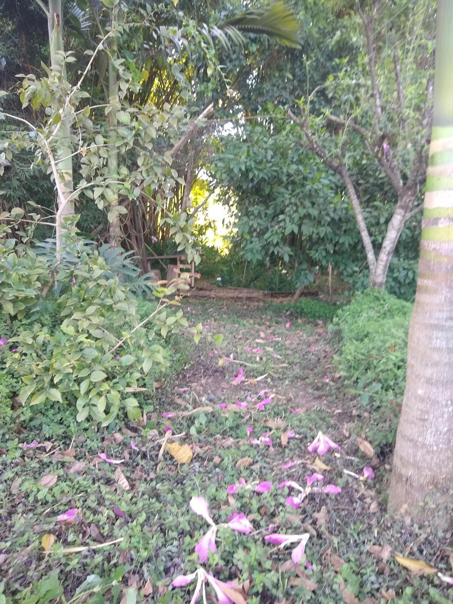 Chacara Perola Mantiqueira Gonçalves Exterior foto