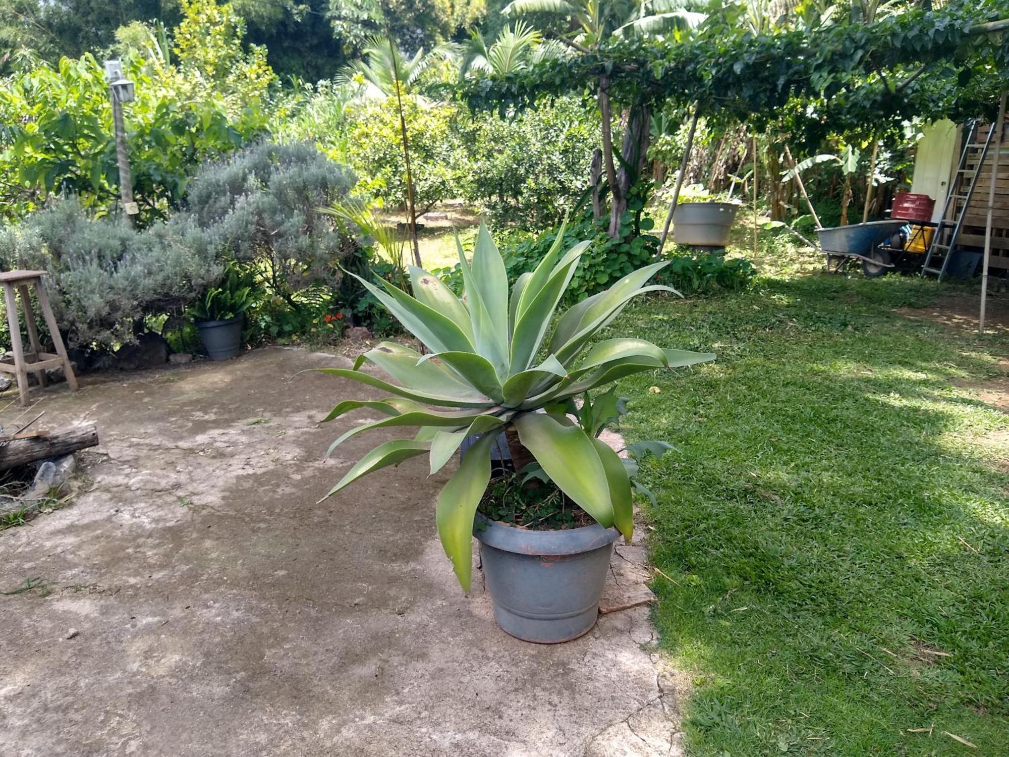 Chacara Perola Mantiqueira Gonçalves Exterior foto