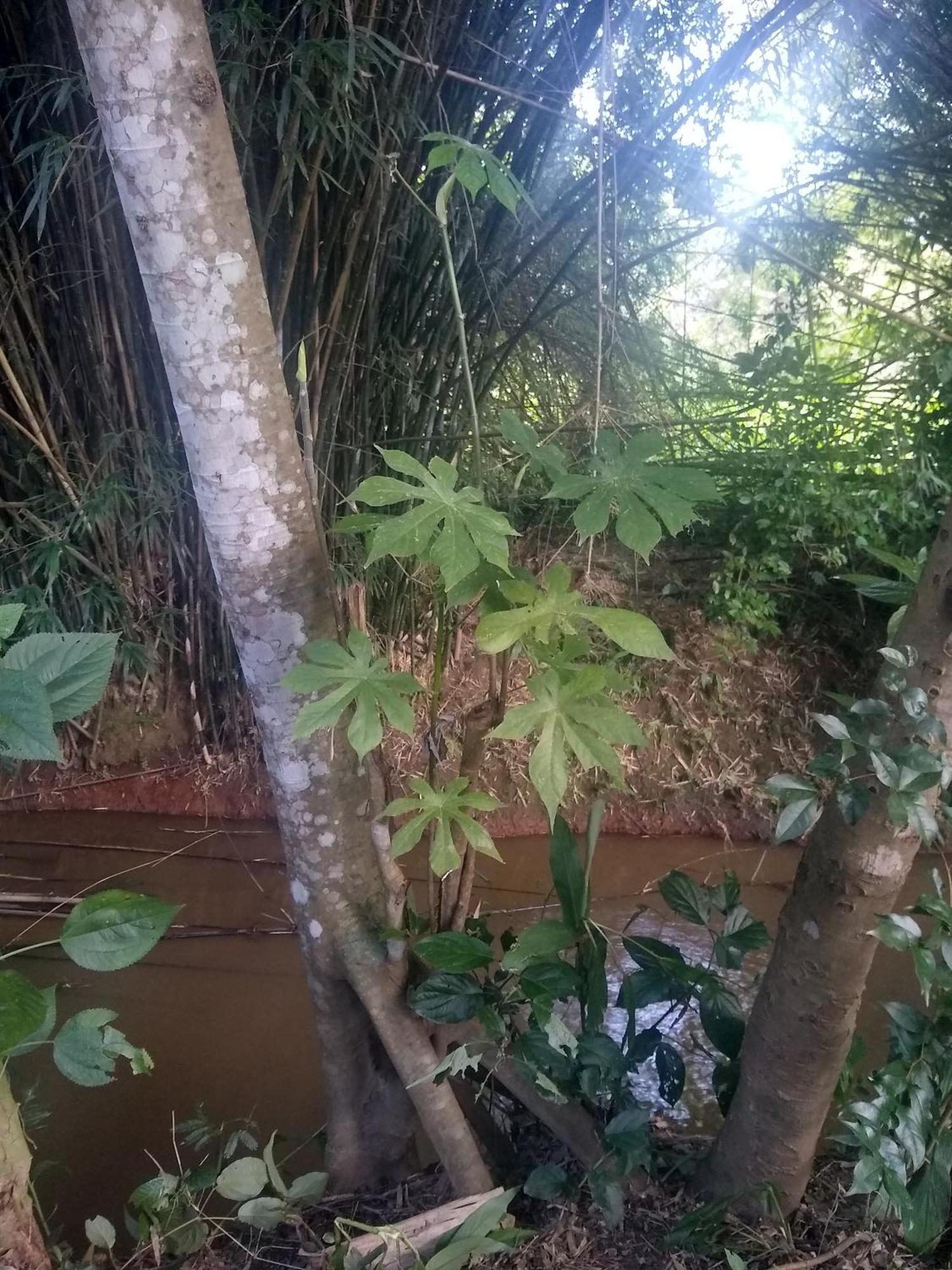 Chacara Perola Mantiqueira Gonçalves Exterior foto