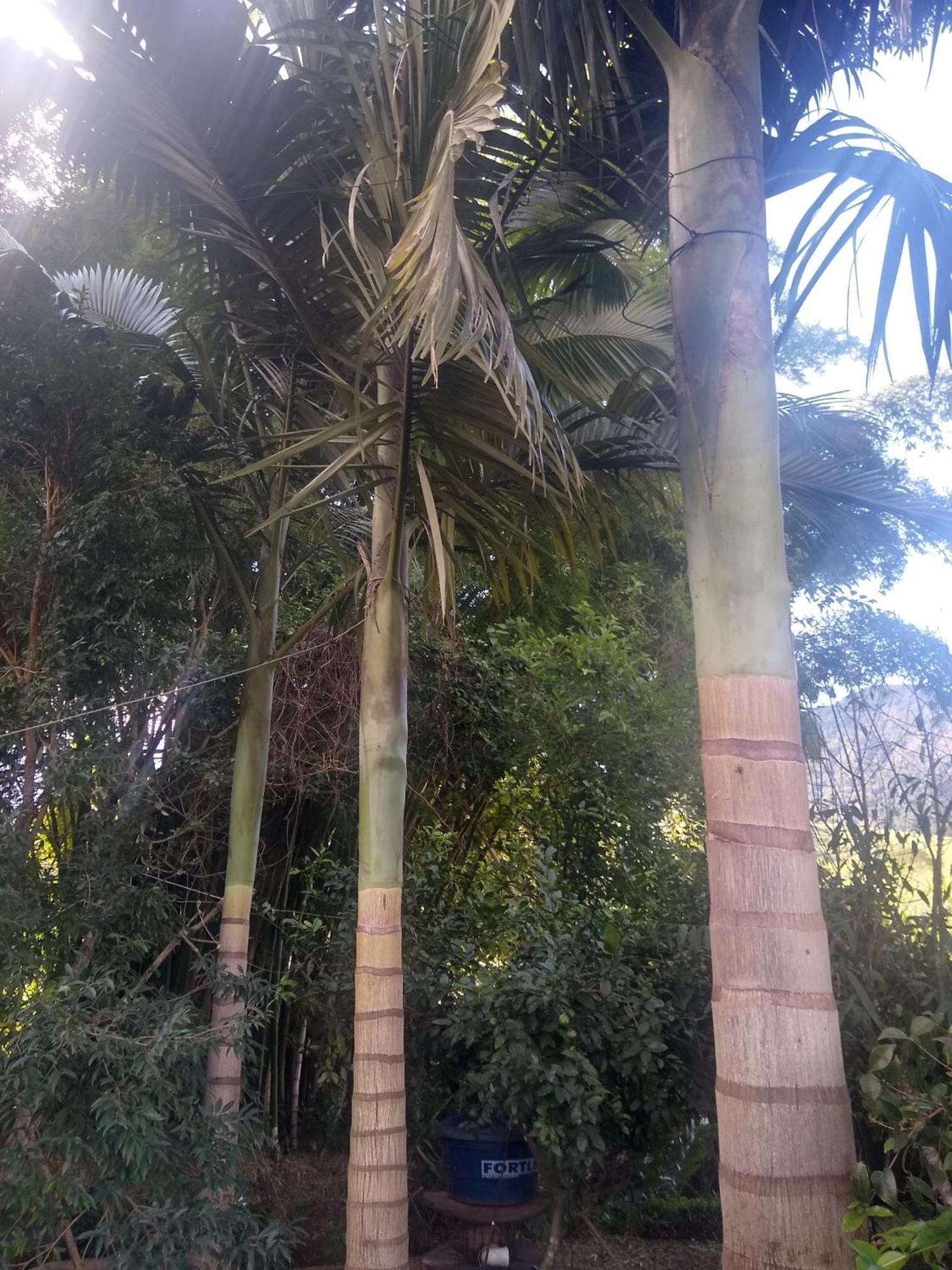Chacara Perola Mantiqueira Gonçalves Exterior foto